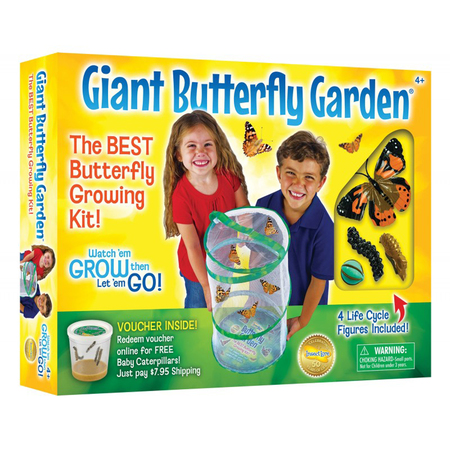 INSECT LORE Giant Butterfly Garden® Deluxe Growing Kit 1070